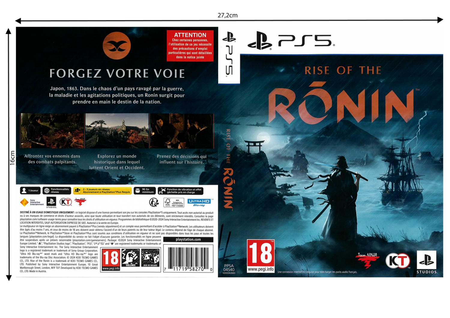 Rise of the ronin